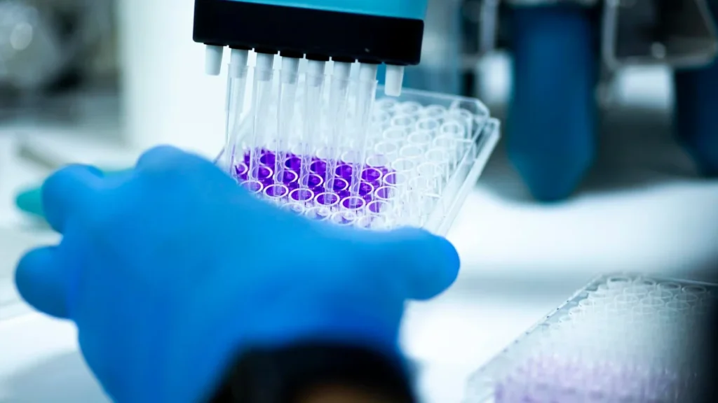 Gloved laboratory hand transferring purple samples into a microplate.