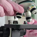 Gloved laboratory researcher positioning a prepared sample under a microscope.