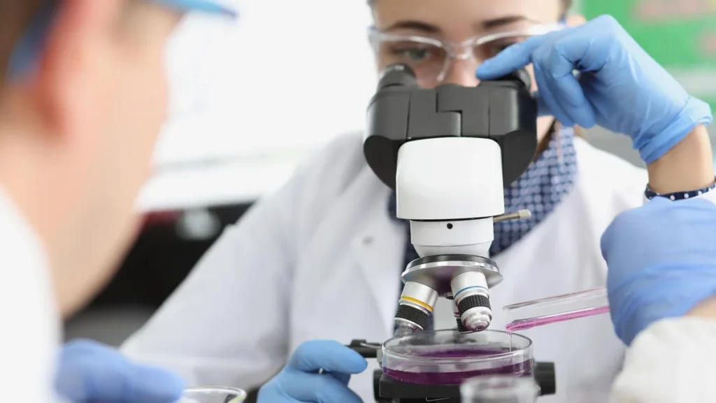 Laboratory scientist examining a purple cell sample through a microscope.