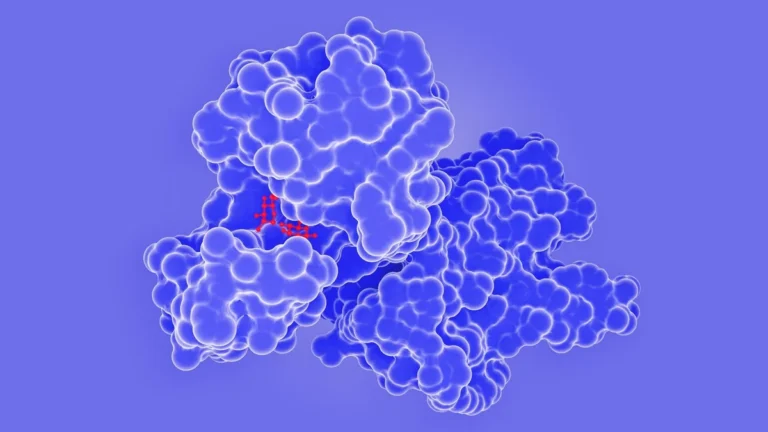Three-dimensional GPCR surface model illustrating receptor-signaling research.