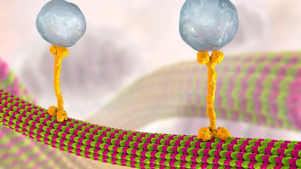 Three-dimensional protein interaction model illustrating cellular signaling.